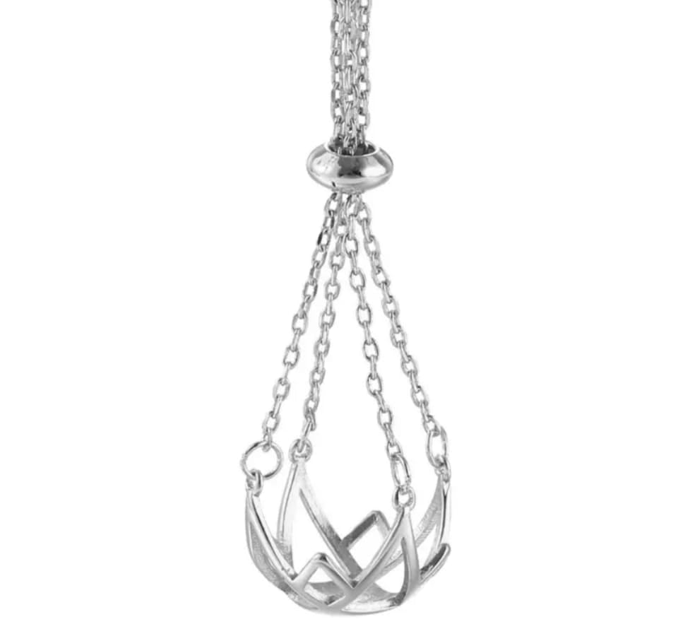 Basket cage for edisons