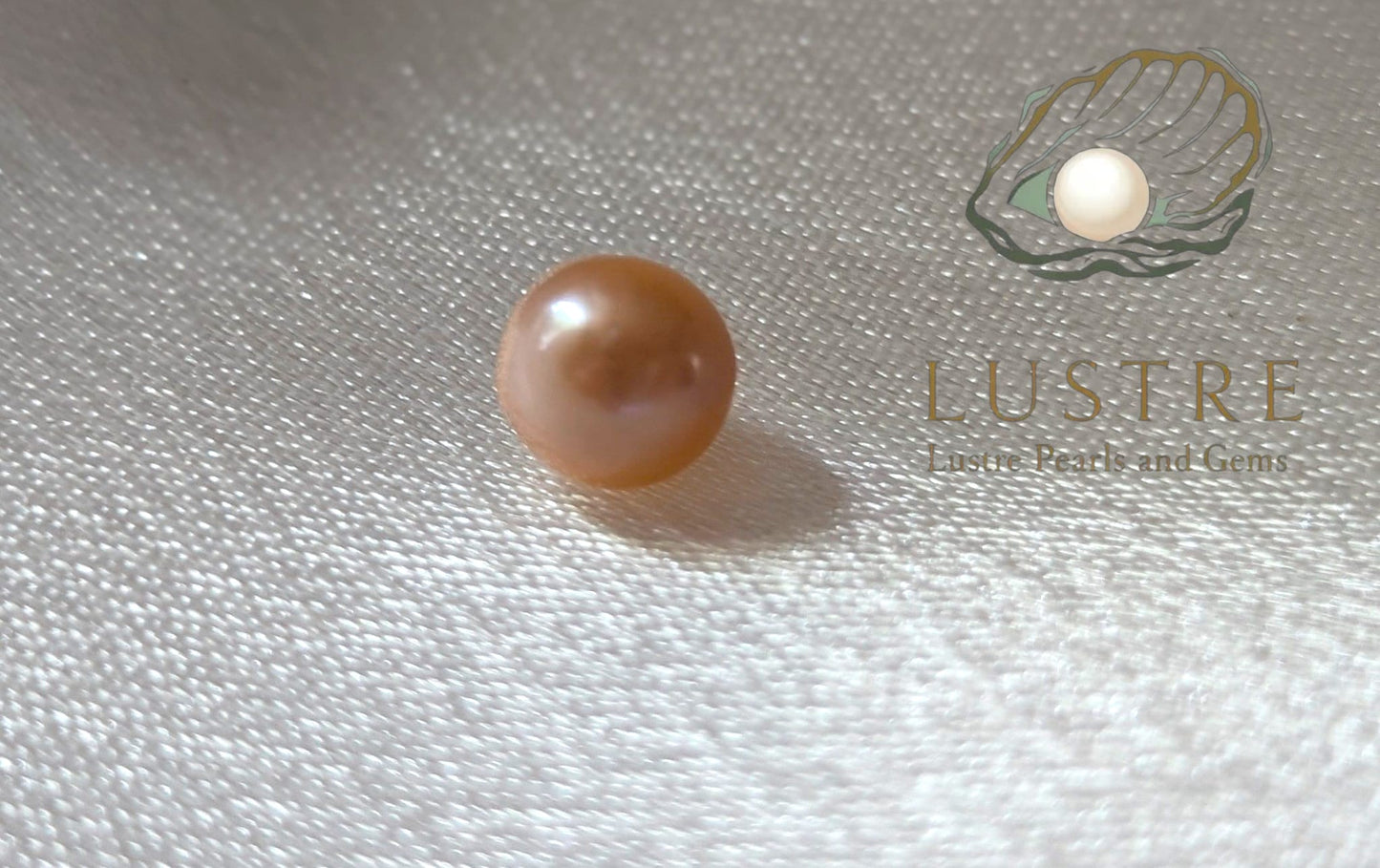 Round Pearl Oyster