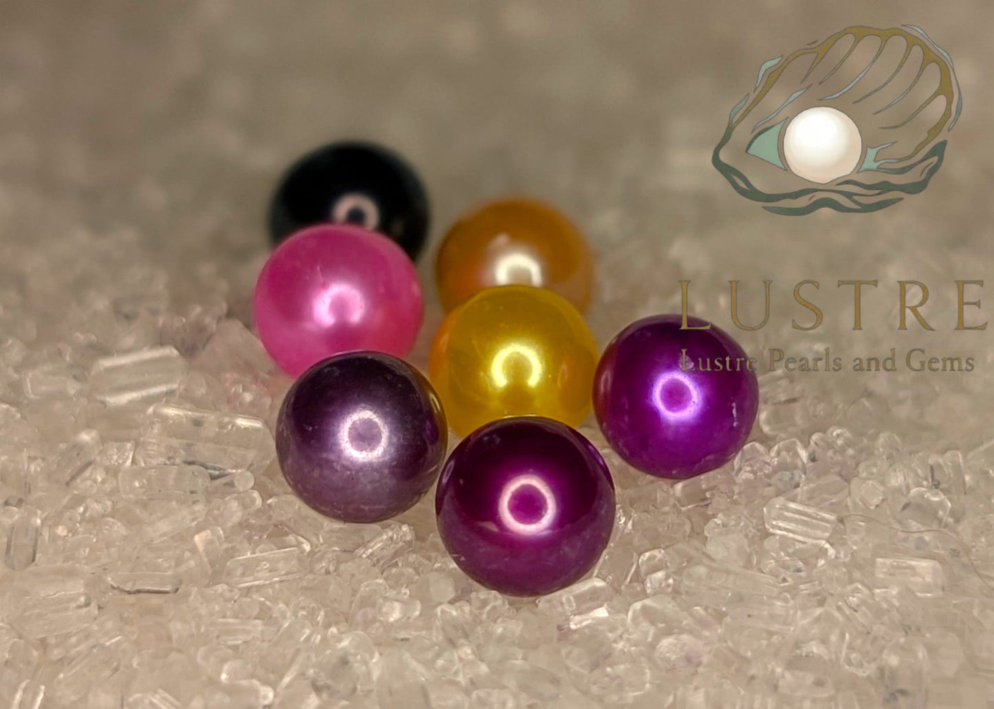 Round Pearl Oyster