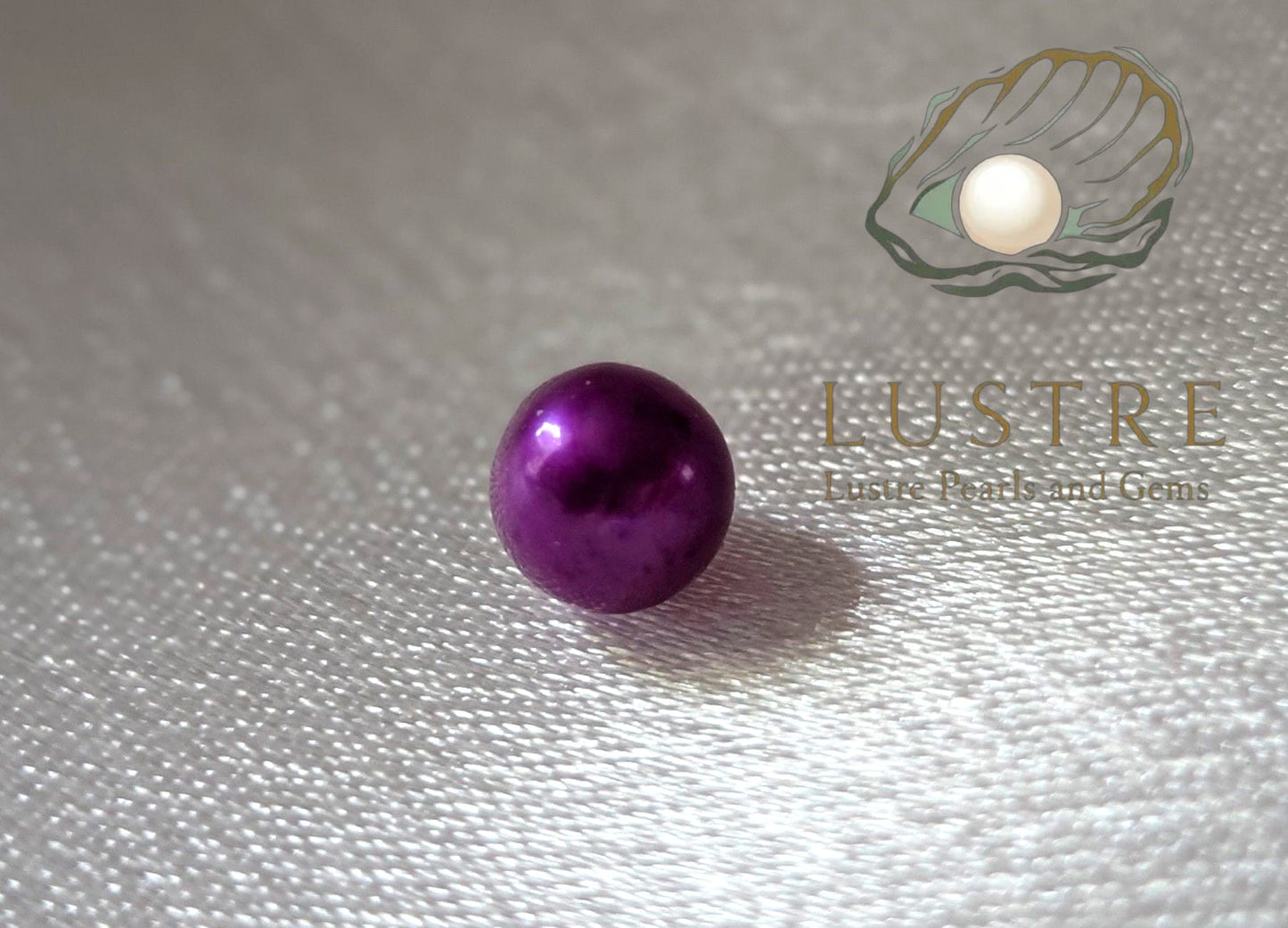 Round Pearl Oyster