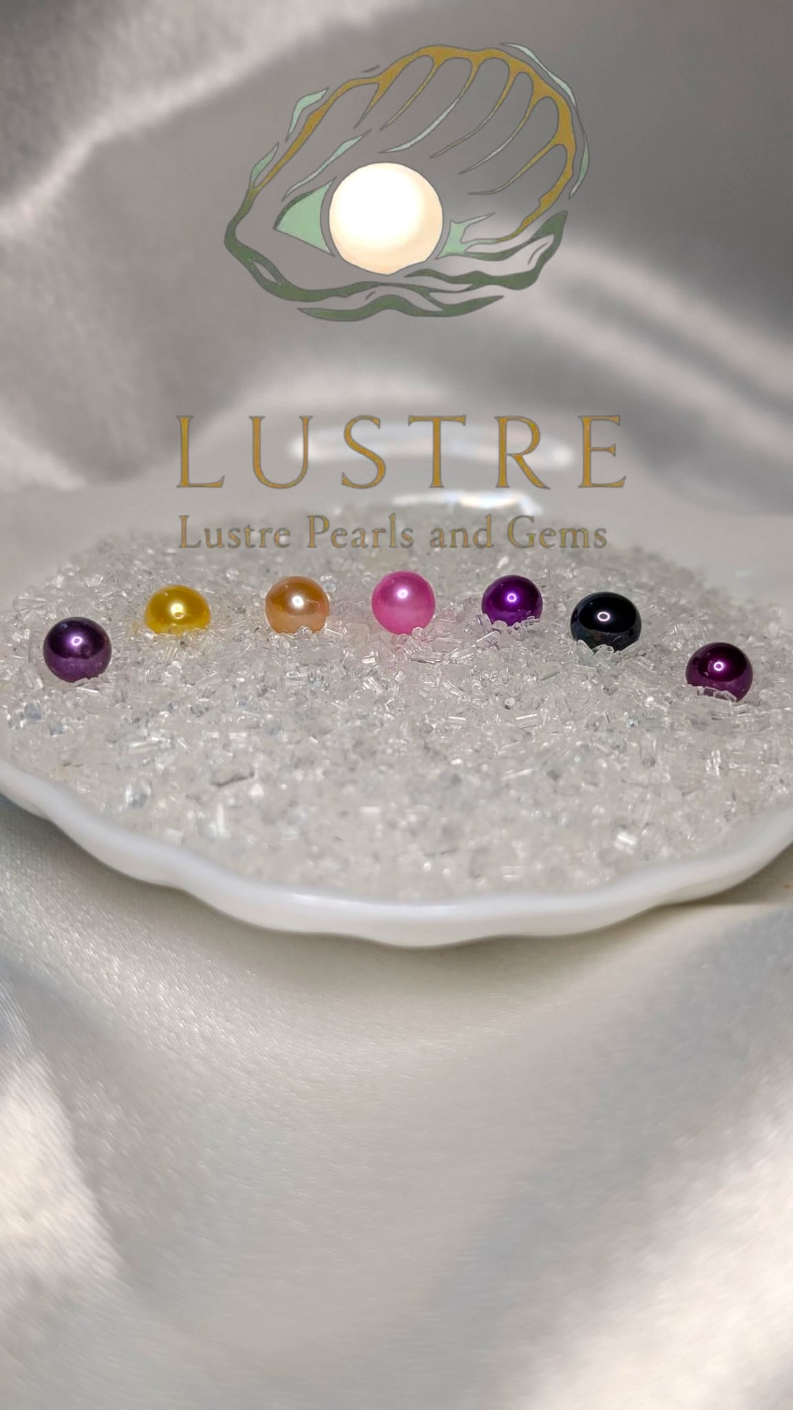 Round Pearl Oyster