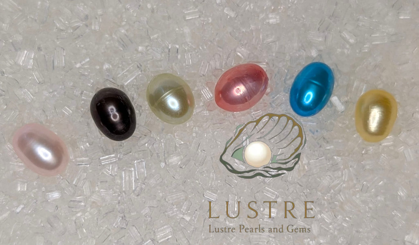 Rice shaped freshwater pearl oysters