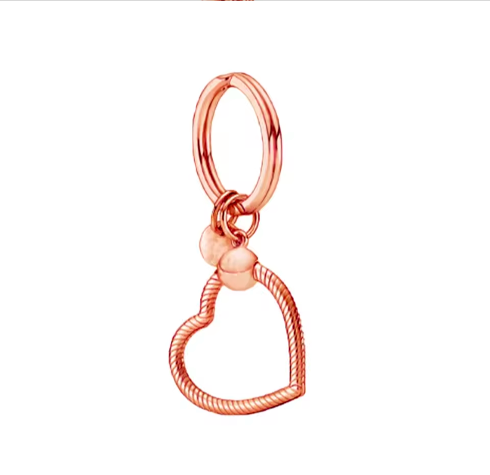 Charm Key chain/bag charm