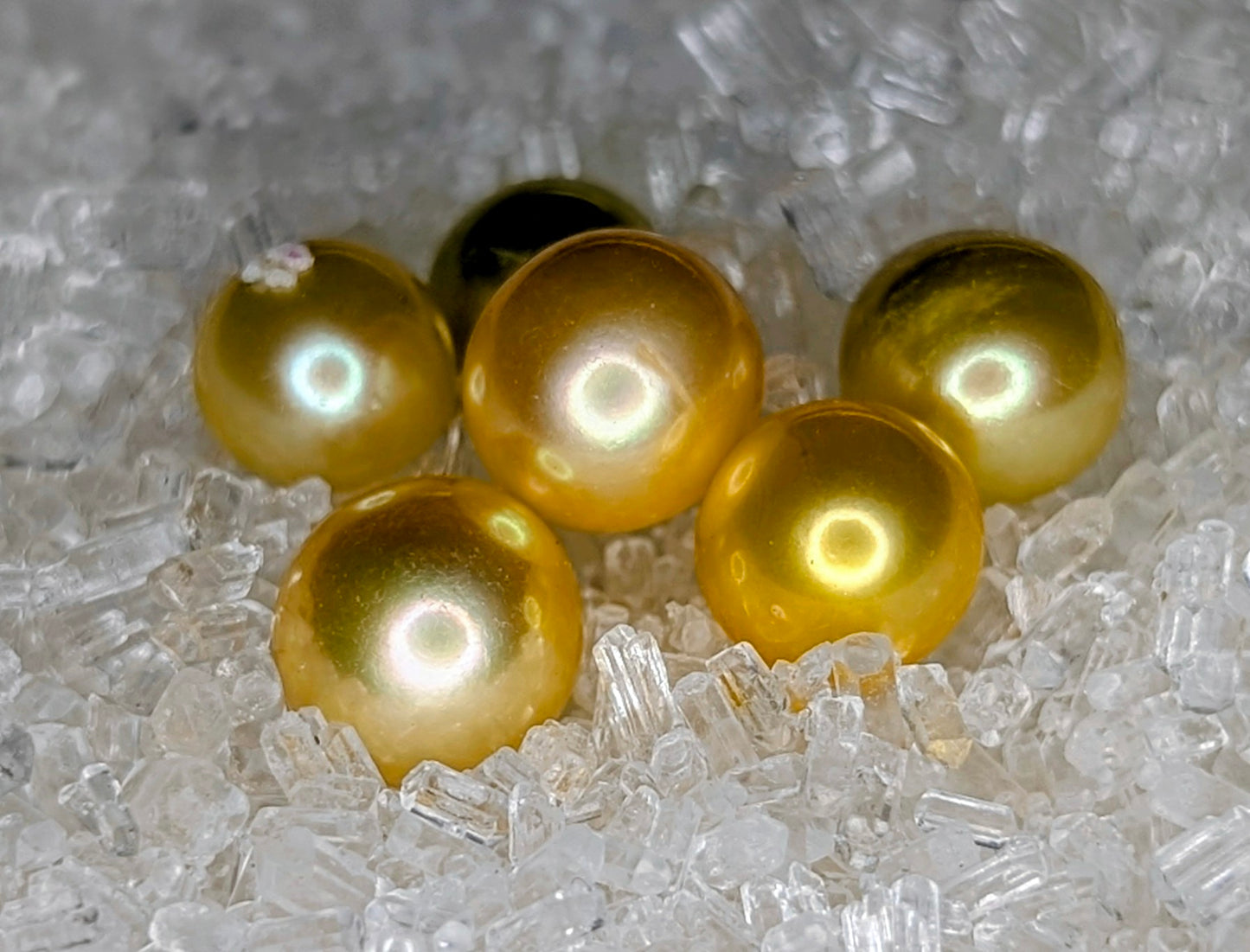 Pearl colour Choice Fizzer