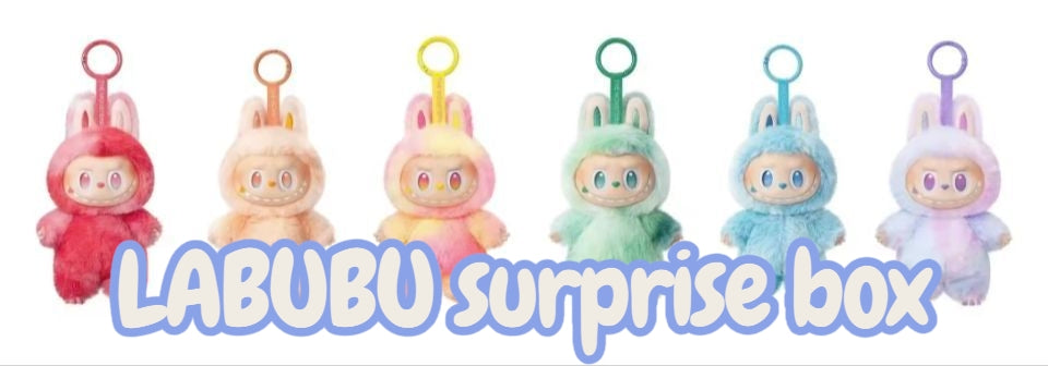LABUBU surprise boxes (PRE ORDER)