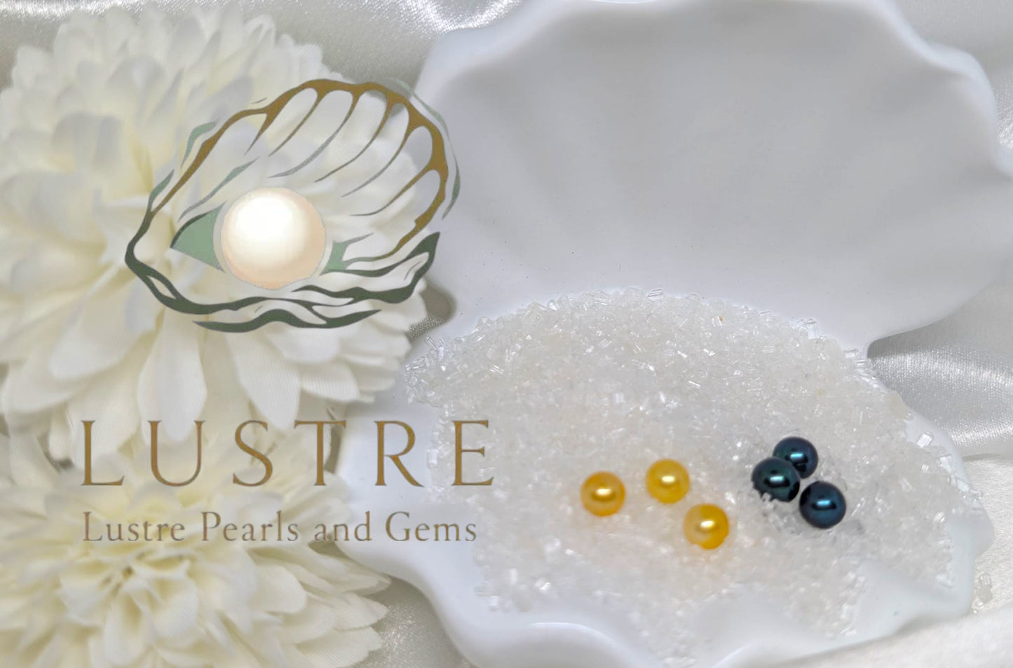 Triplet pearl oyster