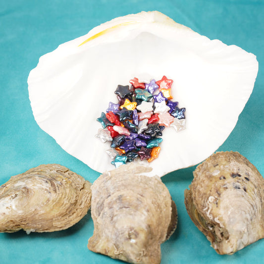 Star shaped pearl oyster
