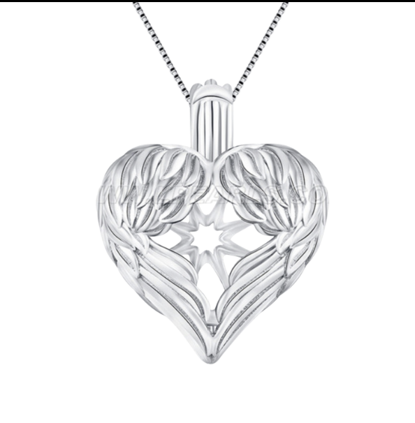 Angel wing heart edison cage