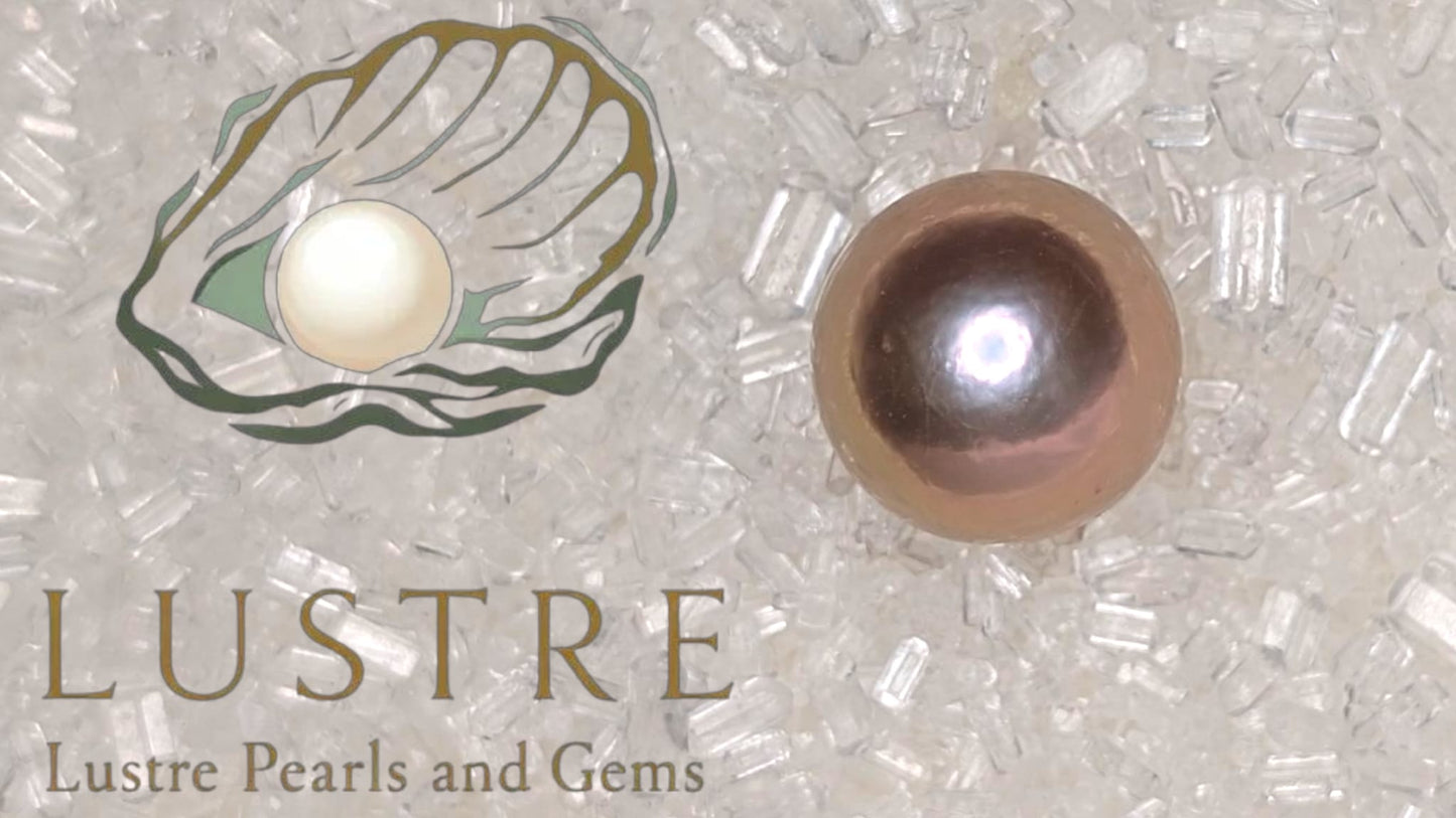 Edison pearl oyster