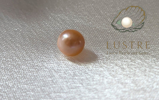 Round Pearl Oyster