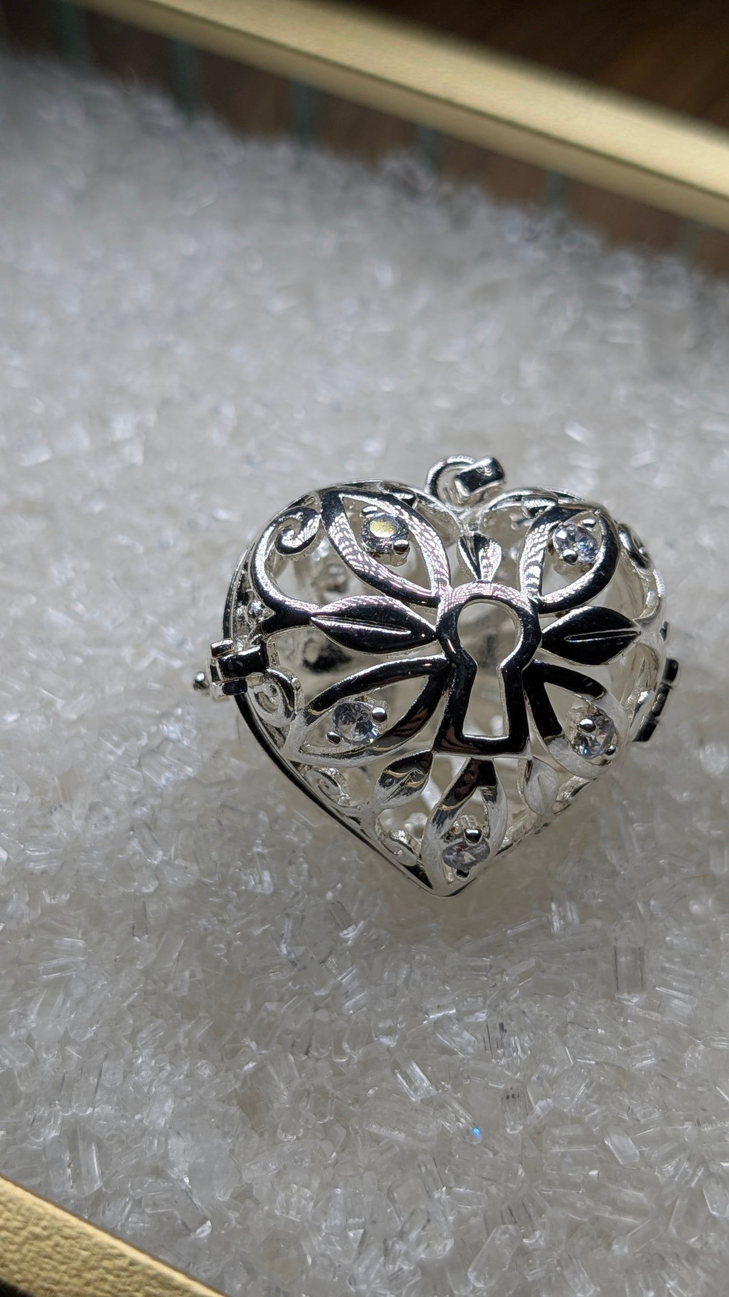 Key to your heart Edison Cage only