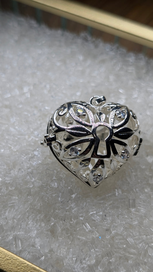 Key to your heart Edison Cage