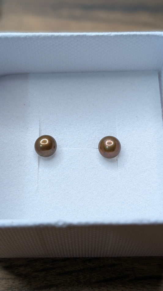 Chocolate bronze button pearl studs