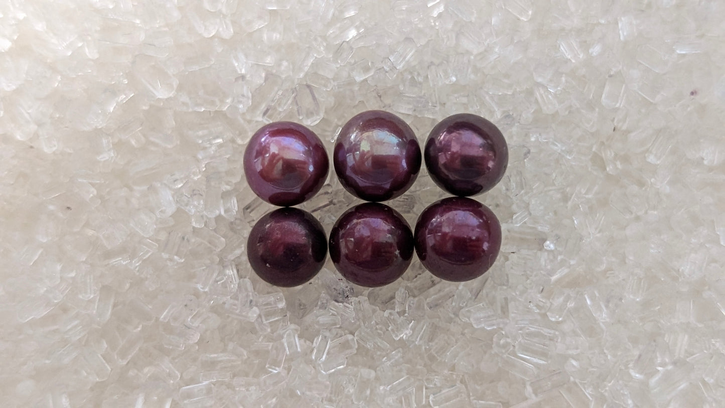 Christmas Red Pearl oyster