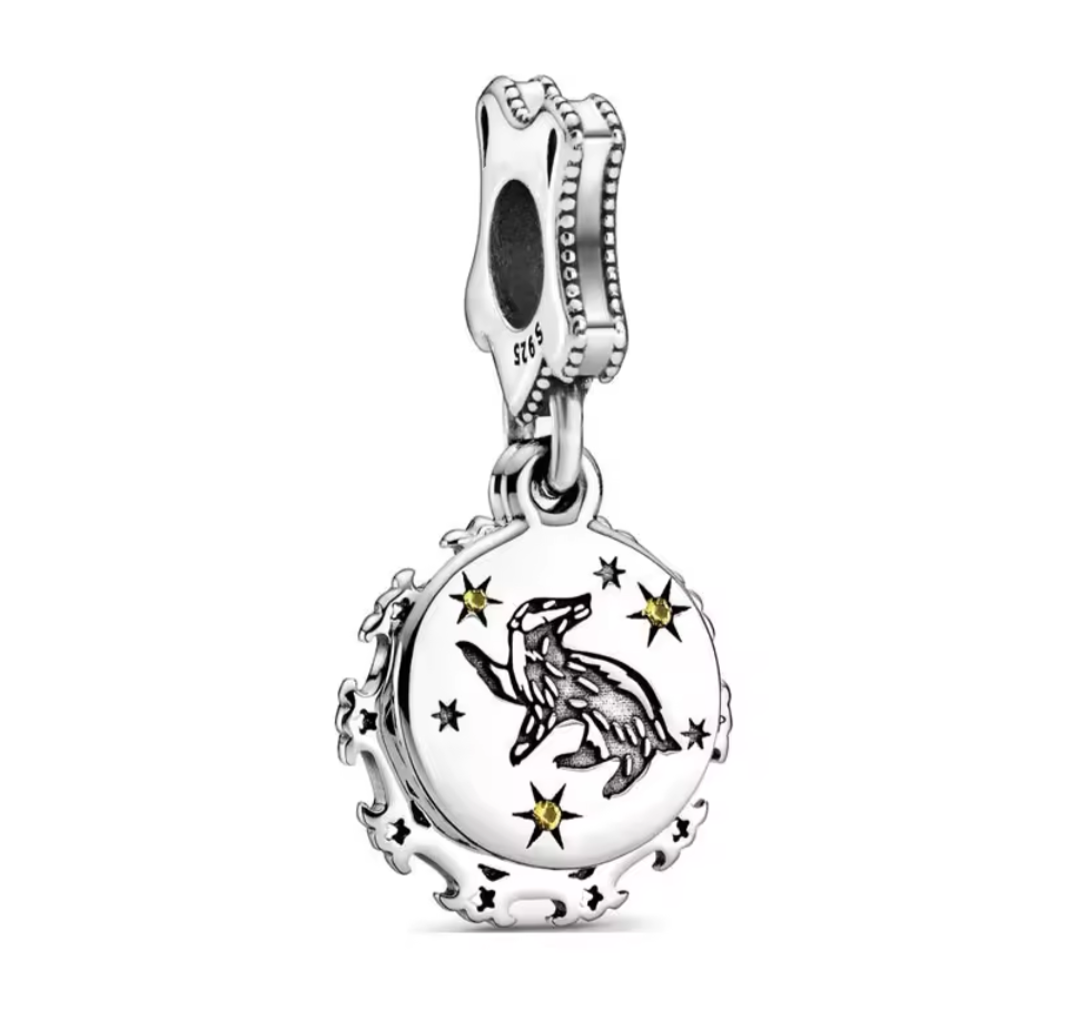 Harry Potter sterling silver charms