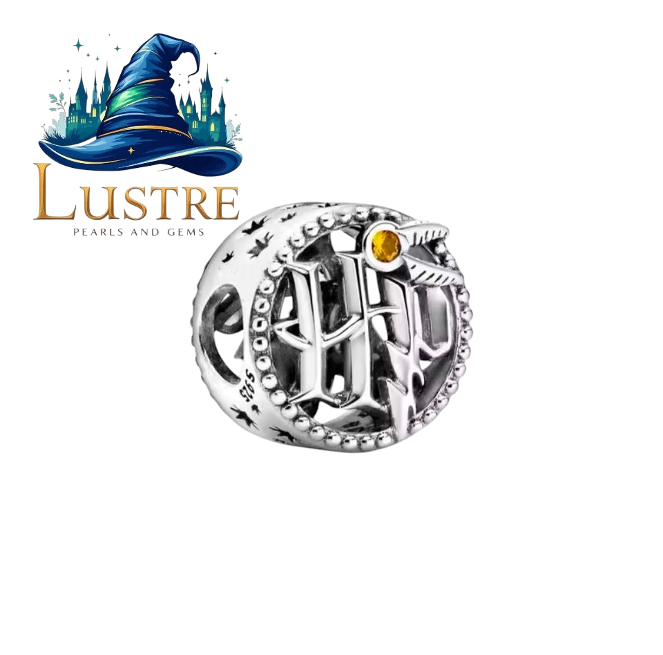 Harry Potter sterling silver charms