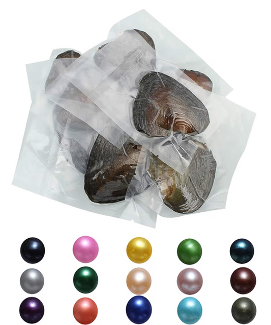 Rice Oyster (open at home)