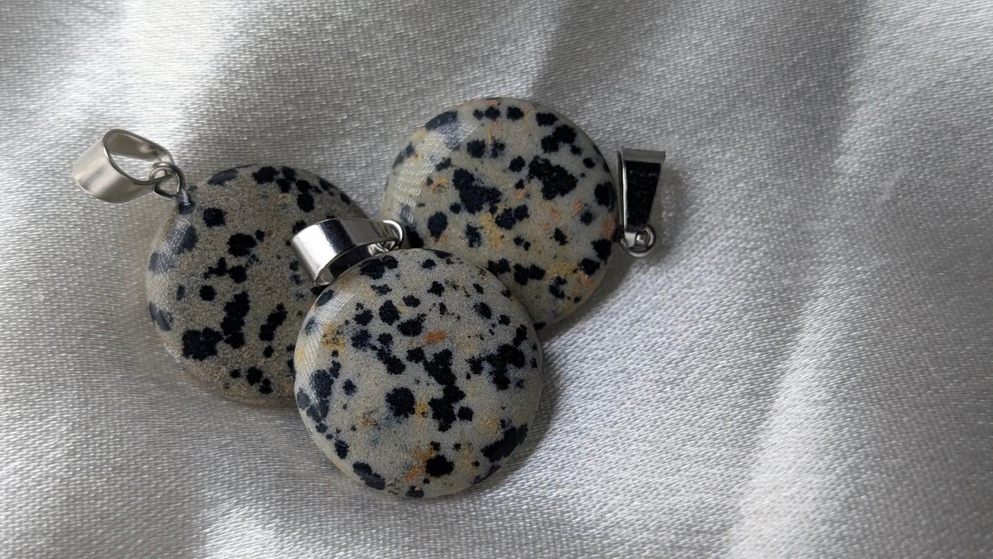 Dalmation Jasper Coin necklace