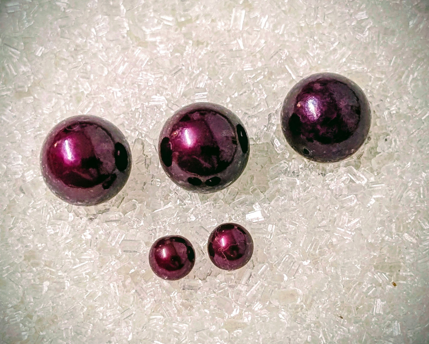 Christmas Red Pearl oyster