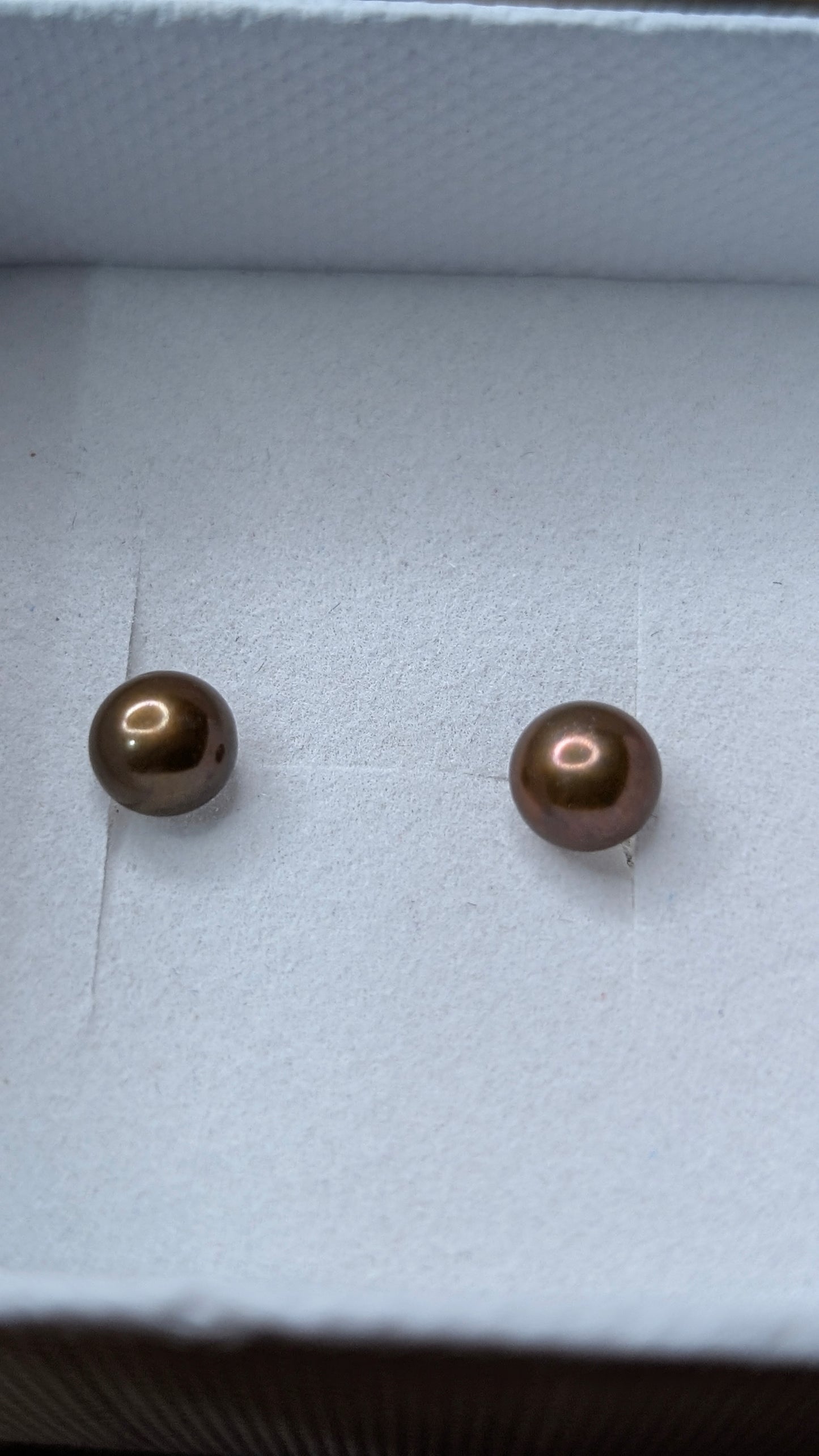 Chocolate bronze button pearl studs