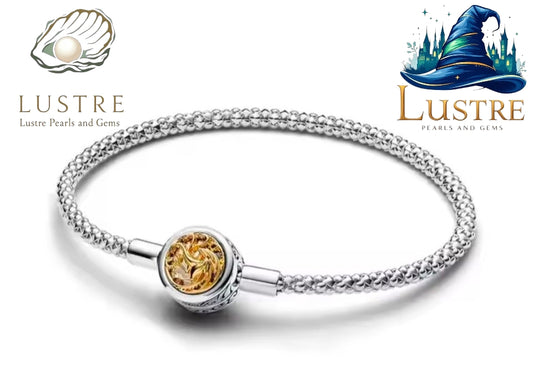 House of Dragon Fire and blood charm bracelet
