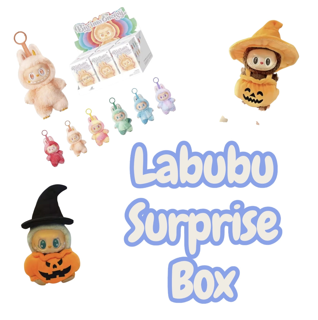 LABUBU surprise boxes (PRE ORDER)