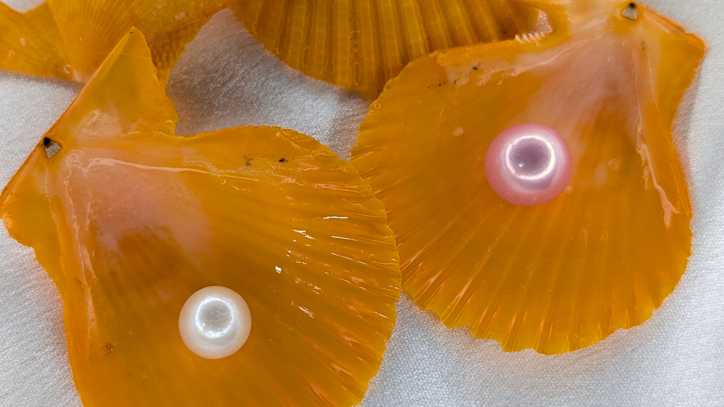 Red Snapper Premium Edison pearl oyster