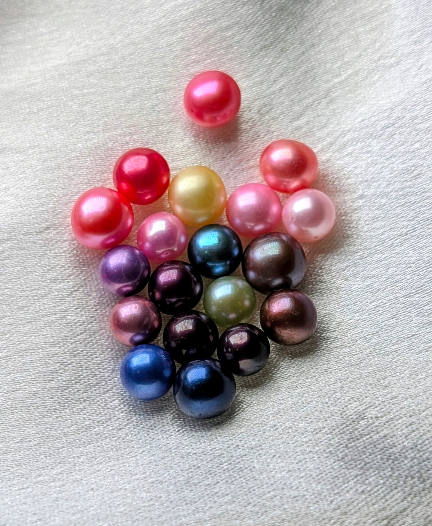 Round Pearl Oyster