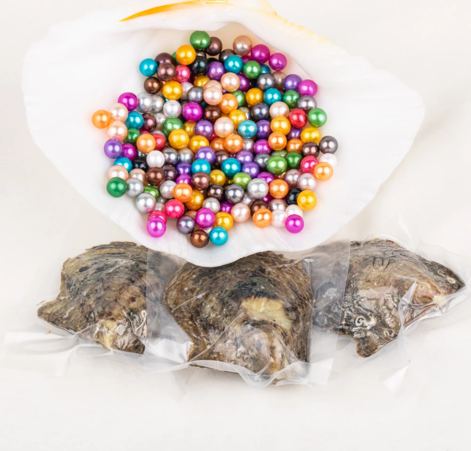 Tray of round pearl oysters