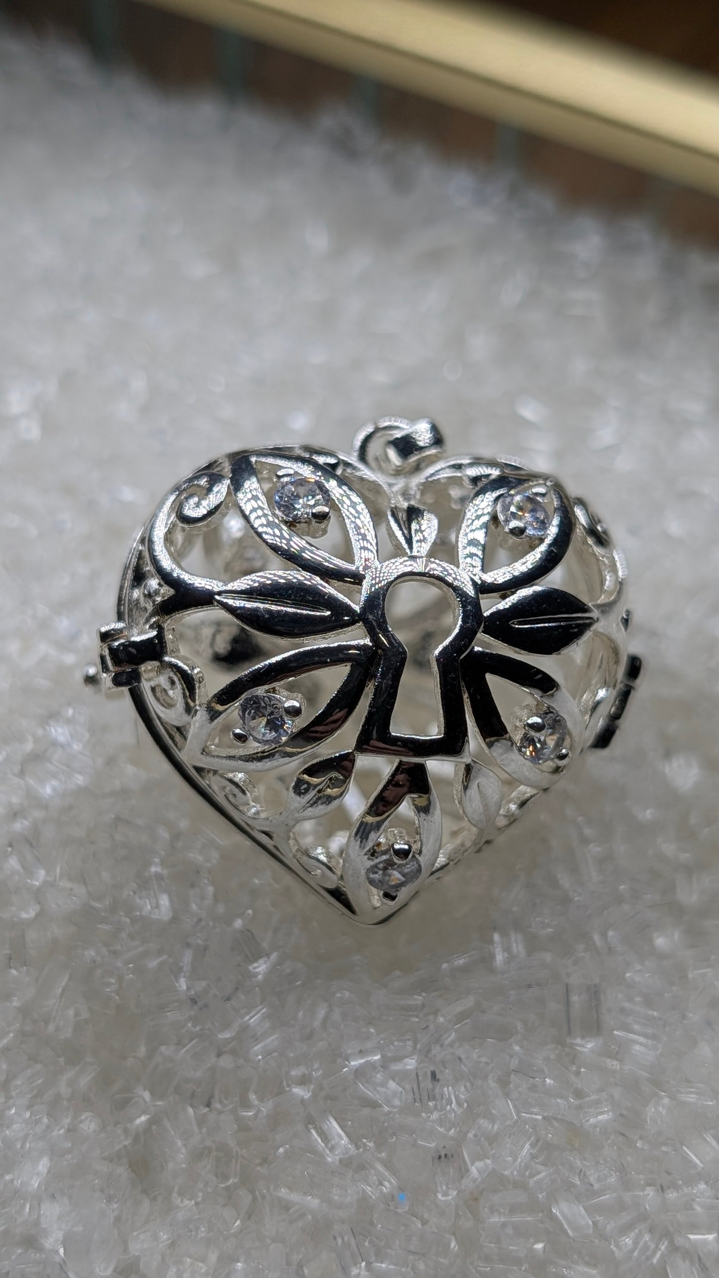 Key to your heart Edison Cage only