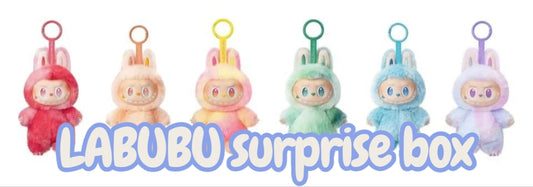 LABUBU surprise boxes (PRE ORDER)