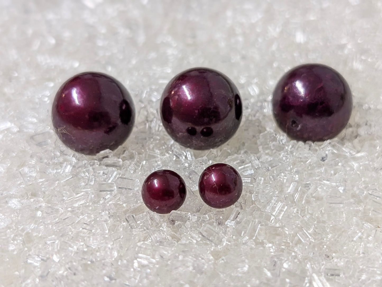 Christmas Red Pearl oyster